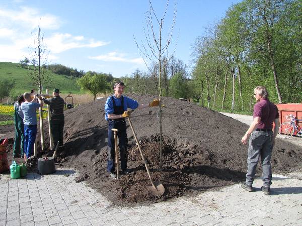 Bild 9